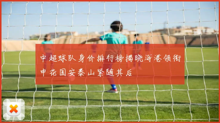 中超球队身价排行榜揭晓海港领衔申花国安泰山紧随其后