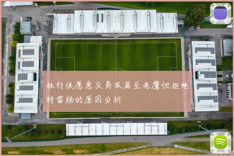 独行侠愿意交易浓眉至老鹰但拒绝特雷杨的原因分析