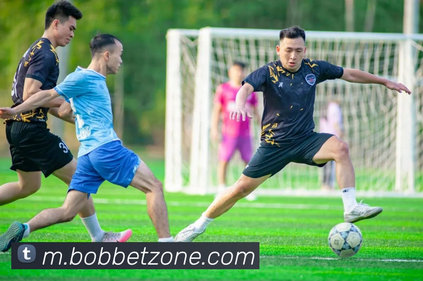 BOB体育平台生态图